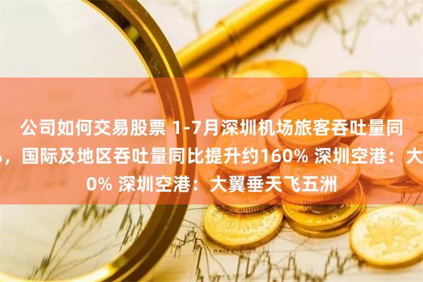 公司如何交易股票 1-7月深圳机场旅客吞吐量同比提升近20%，国际及地区吞吐量同比提升约160% 深圳空港：大翼垂天飞五洲