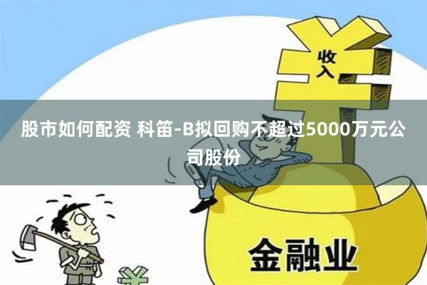 股市如何配资 科笛-B拟回购不超过5000万元公司股份