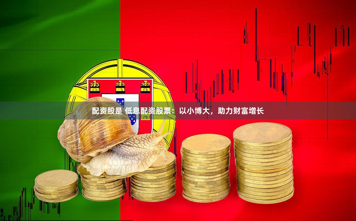 配资股是 低息配资股票：以小博大，助力财富增长