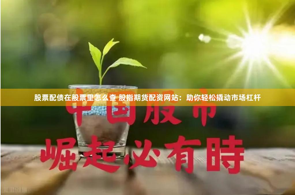 股票配债在股票里怎么查 股指期货配资网站：助你轻松撬动市场杠杆